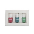 3 Mini Round Nail Polish Bottles in Custom Window Box